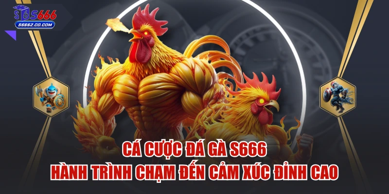 Cá Cược Đá Gà S666