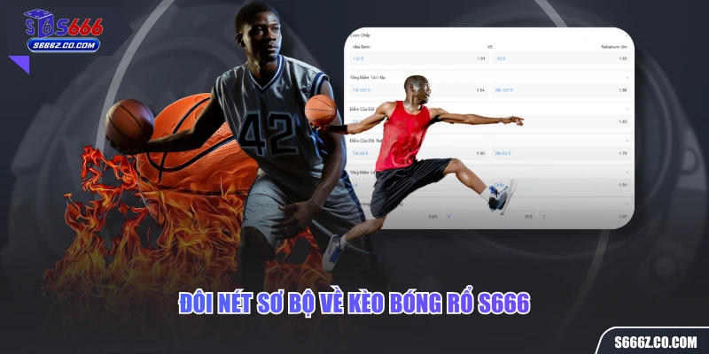 Đôi nét sơ bộ về kèo bóng rổ S666