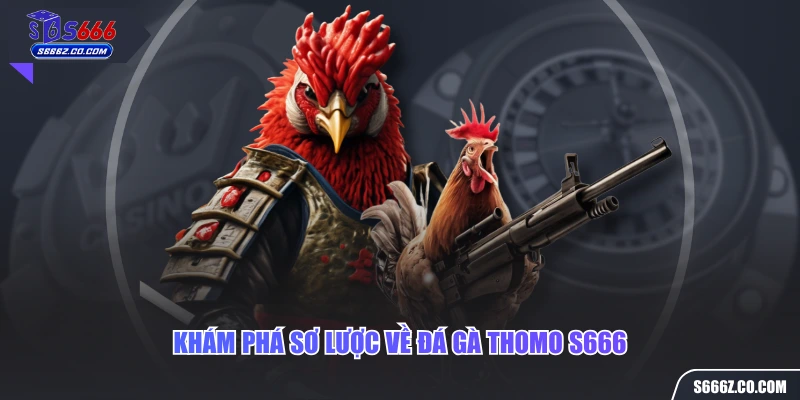 Khám phá sơ lược về đá gà Thomo S666