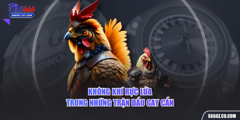 Không khí rực lửa trong những trận đấu gay cấn