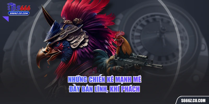 Những chiến kê mạnh mẽ đầy bản lĩnh, khí phách