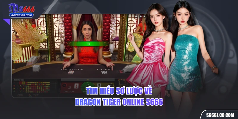 Tìm hiểu sơ lược về dragon tiger online S666