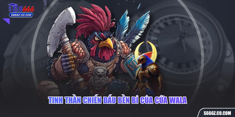 Tinh thần chiến đấu bền bỉ của cửa wala