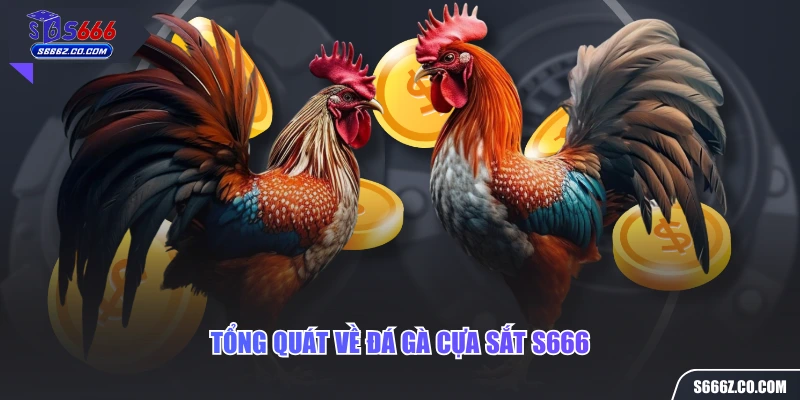 Tổng quát về đá gà cựa sắt S666